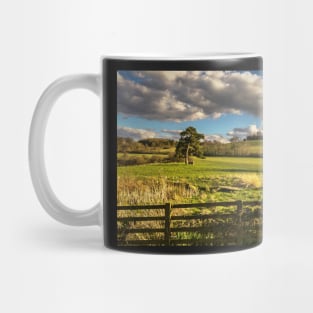 Round Hill From Little Wittenham Mug